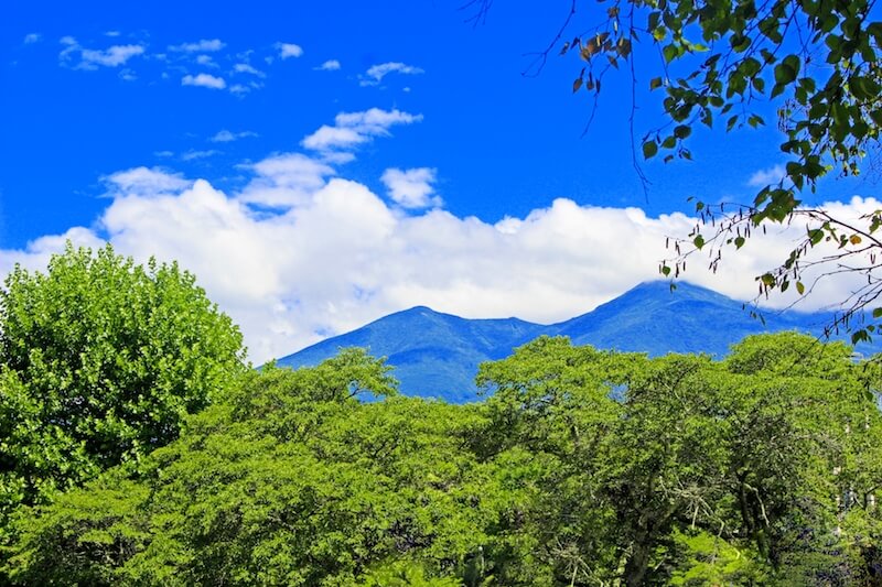 お盆の風景